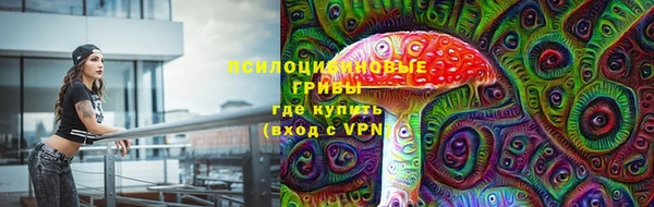 спайс Гусиноозёрск