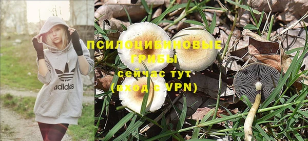а пвп мука Медногорск