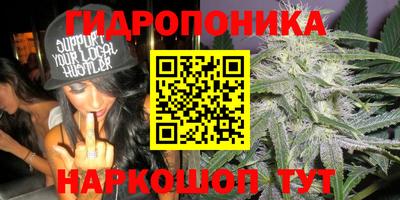 МДПВ Гай