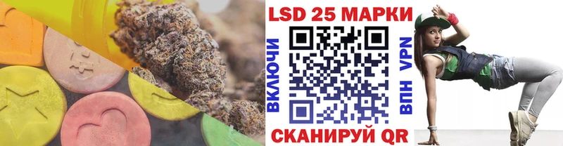 купить наркотики цена  mega как зайти  Лсд 25 экстази ecstasy  Курчалой 