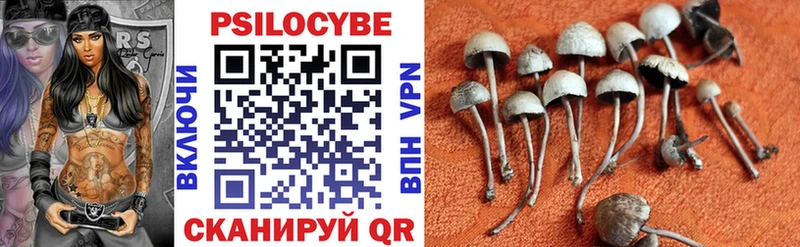 мега онион  Курчалой  Галлюциногенные грибы Magic Shrooms 