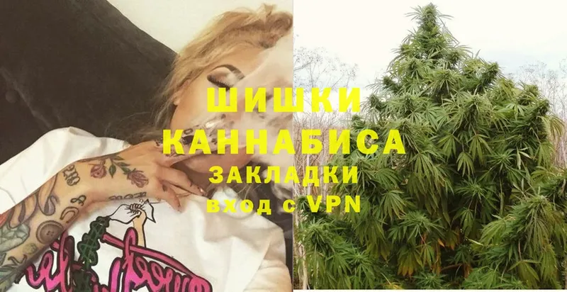 Бошки Шишки White Widow  Курчалой 